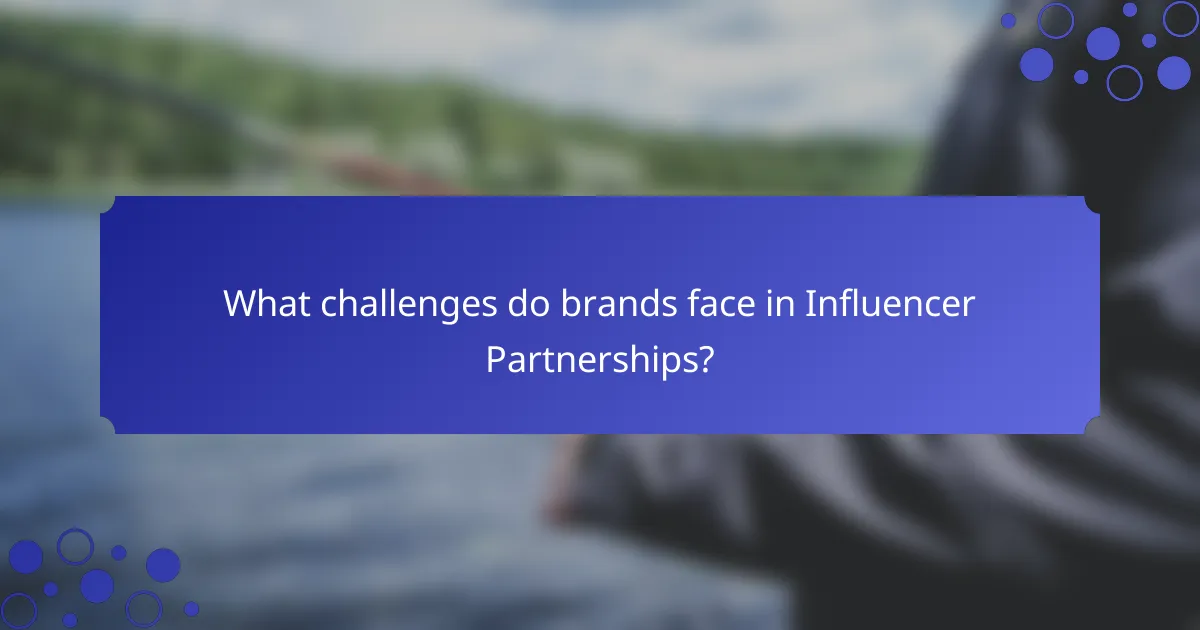 What challenges do brands face in Influencer Partnerships?